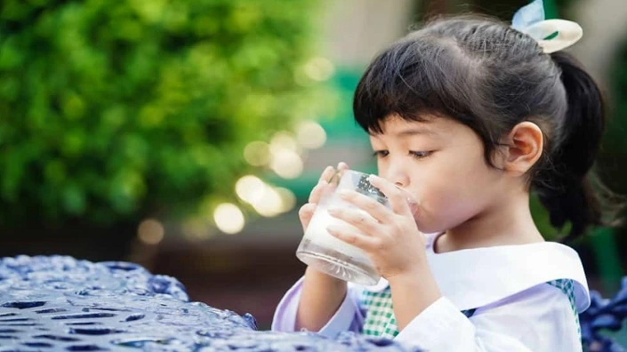 Susu Penambah Berat Badan Anak Usia 1 Sampai 3 Tahun